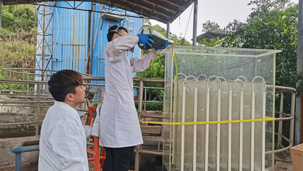 守初心 担使命 跨学科团队驱动清洁能源科技突破