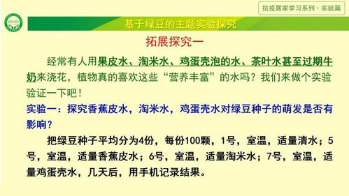 厨房里的绿豆魔法 居家实验探索生命的奥秘