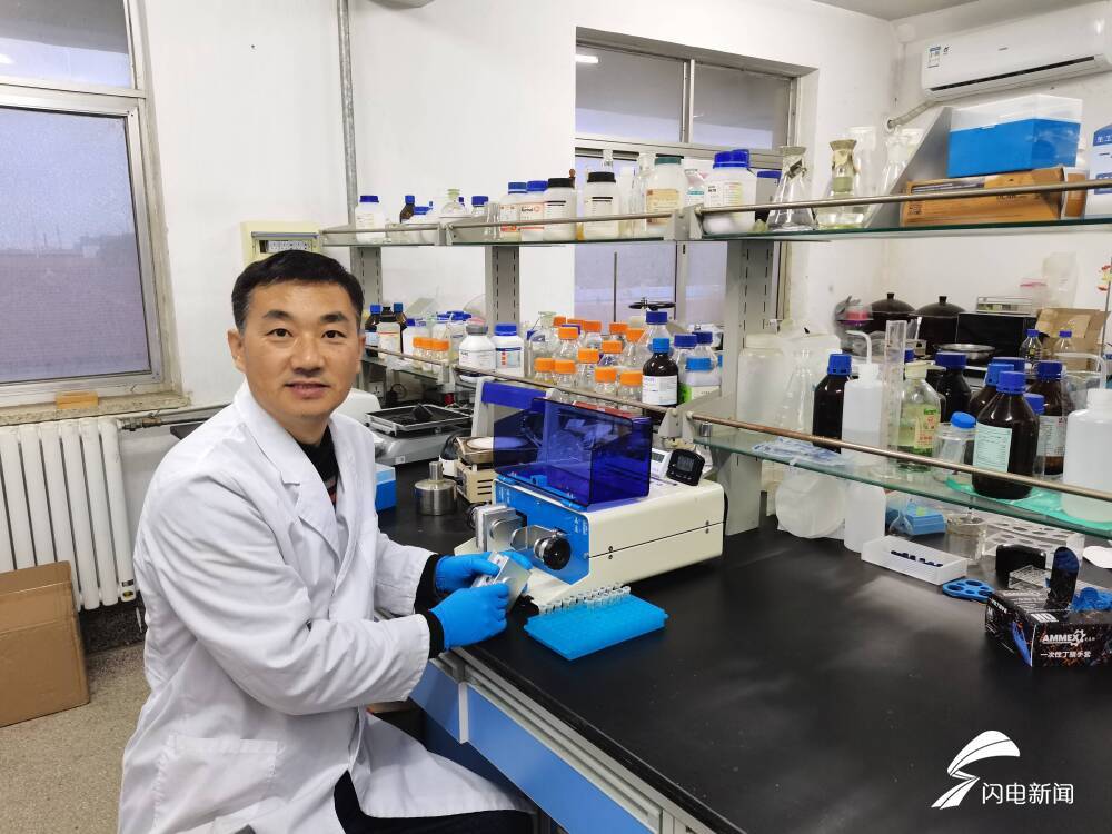 一种保健桑叶茶的制备方法 创新成果驱动健康农业发展